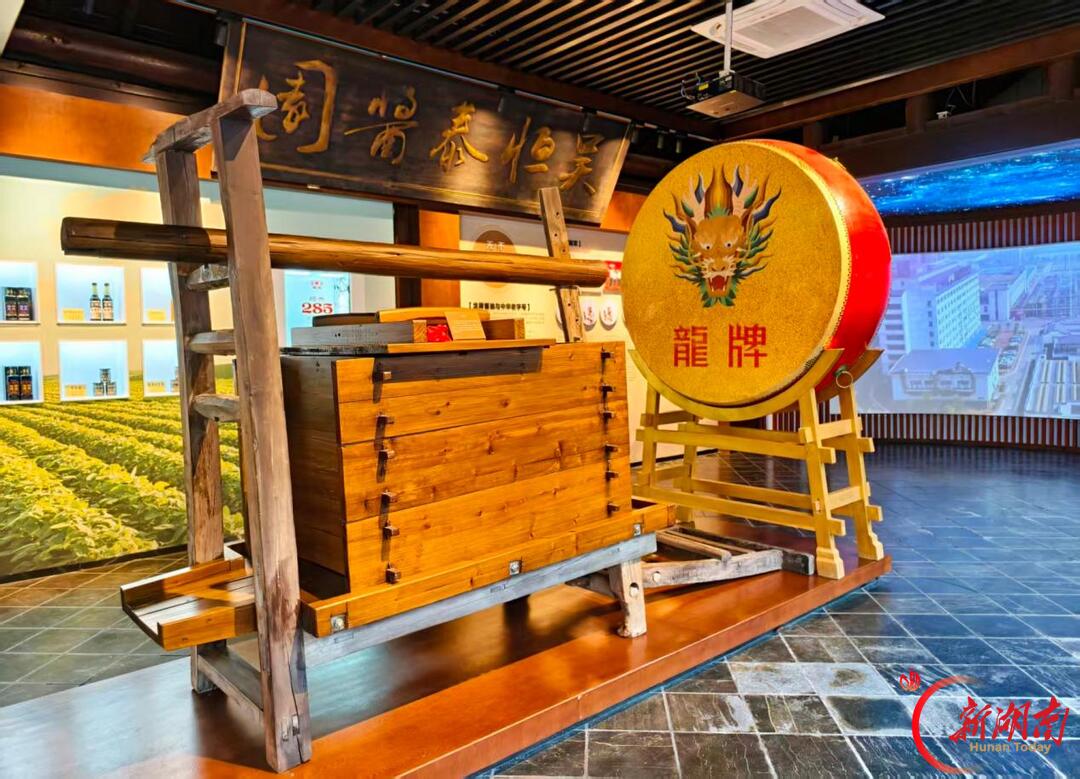 听一路花开,写一程成长——株洲市天元区建宁实验小学湖南日报全媒小记者的年度掠影