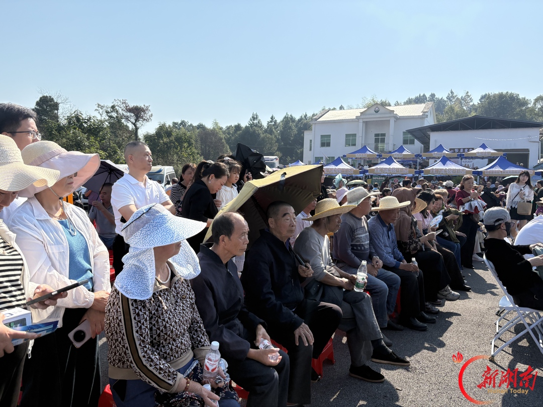 主播下乡、中医进村、农技入户,株洲“三下乡”太会整活了!
