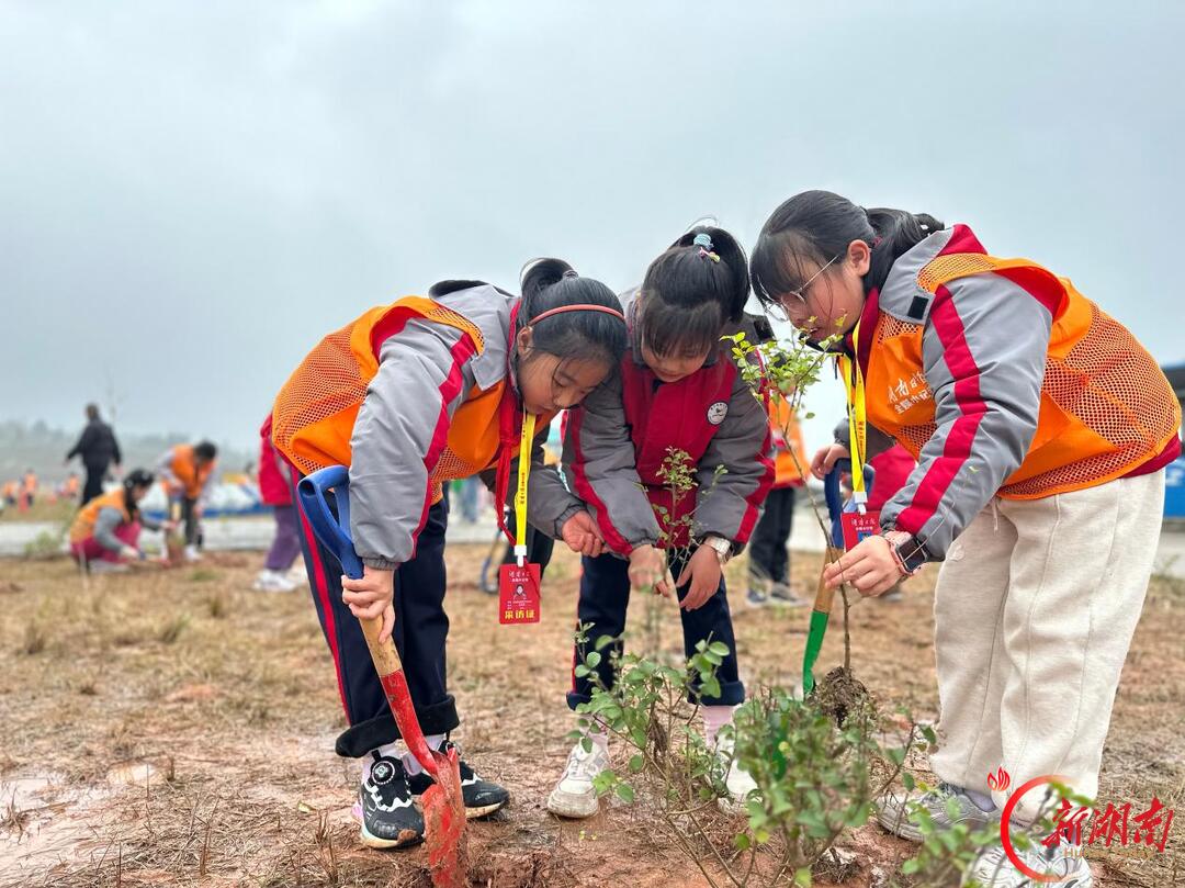 听一路花开,写一程成长——株洲市天元区建宁实验小学湖南日报全媒小记者的年度掠影