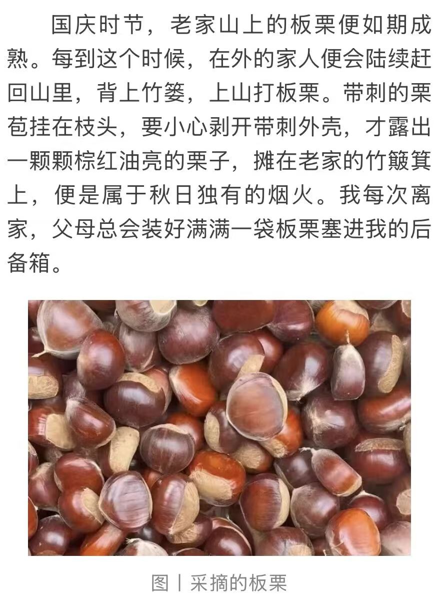 湘伴丨攒了一个假期的惊喜,今天终于藏不住了