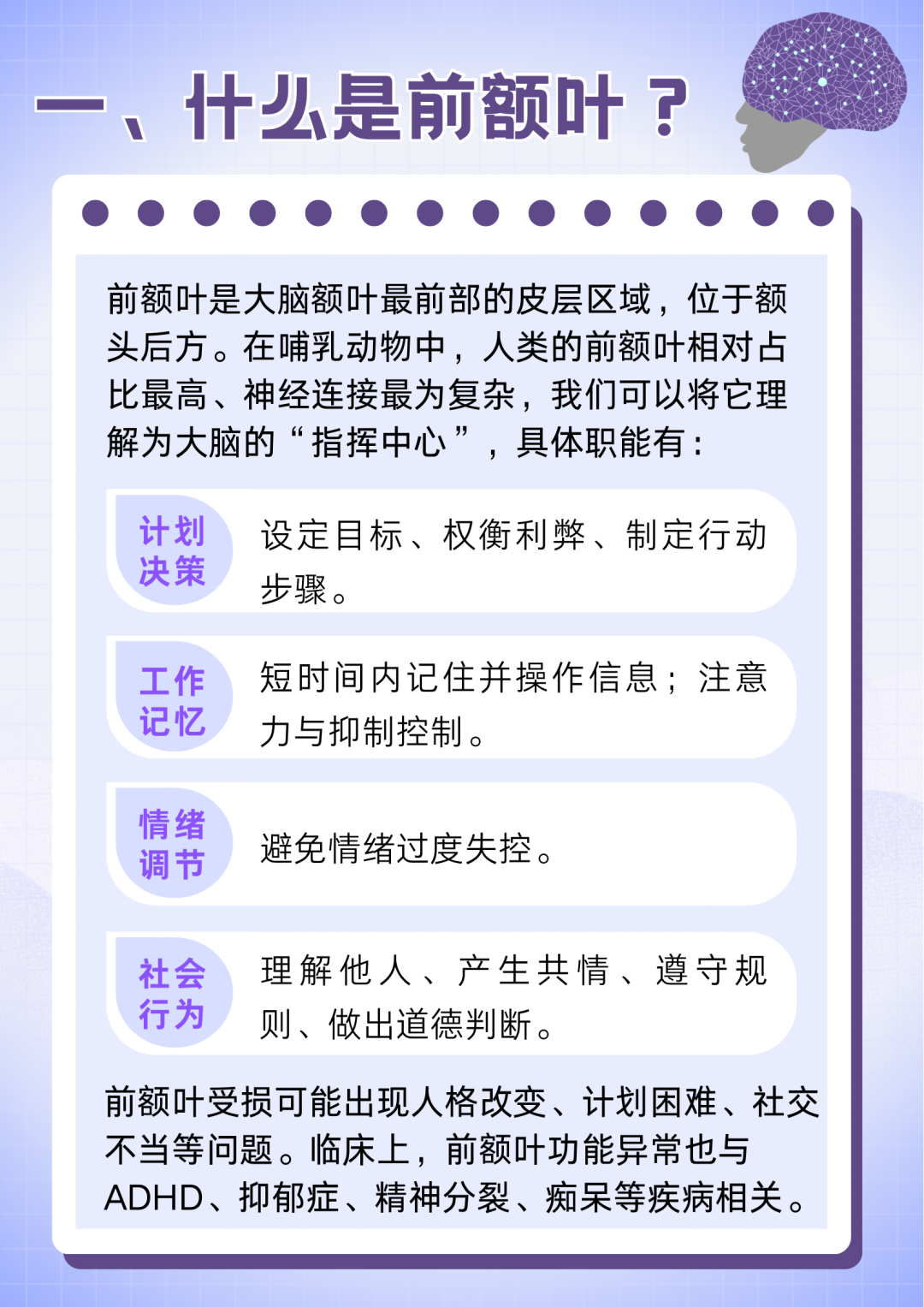 今天起，请尊重一下你的前额叶！