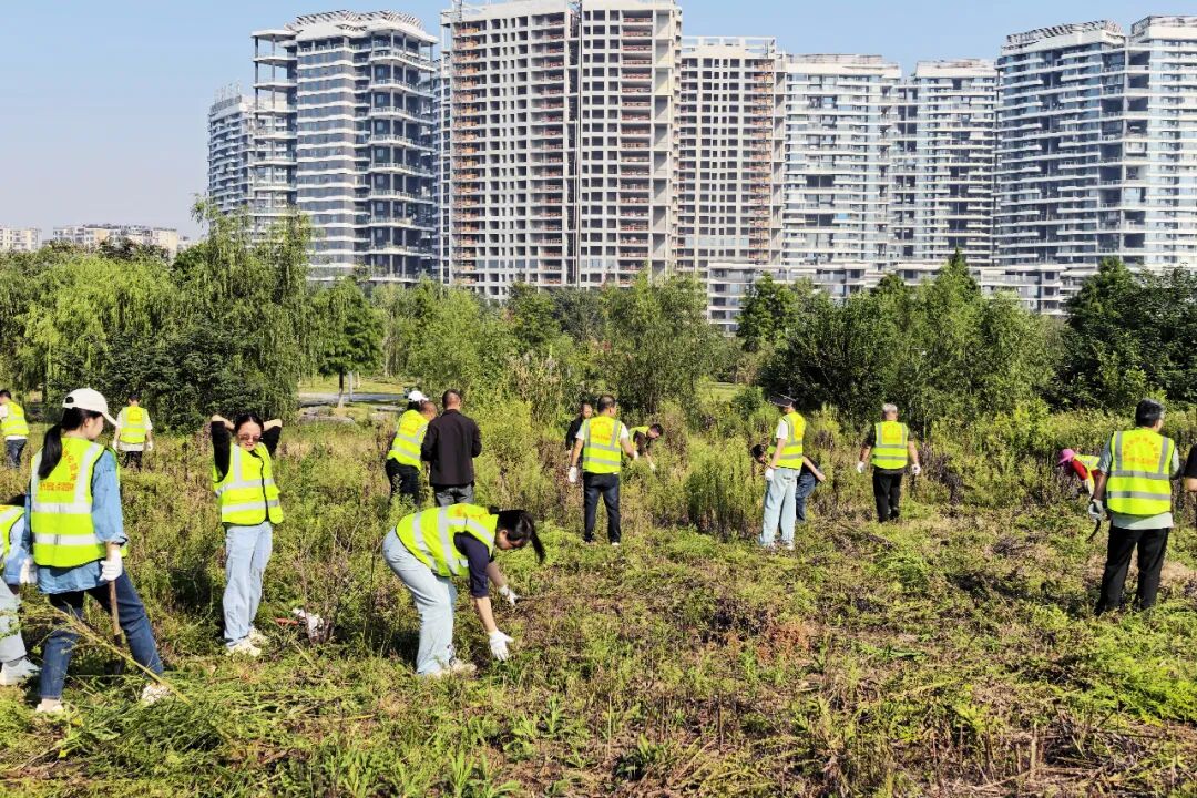 党建引领护碧水绿地,联动清除“生态杀手”