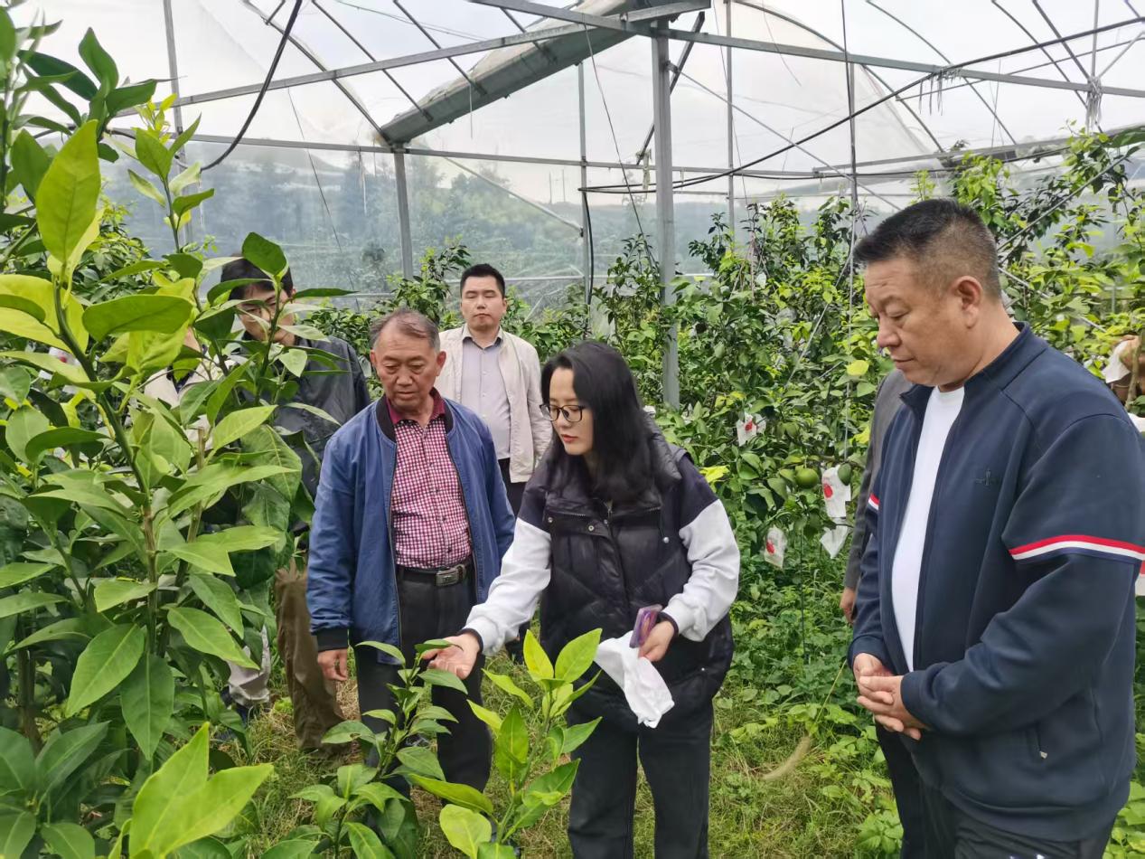 福城携手 共赴振兴——长沙市开福区对口帮扶城步苗族自治县综述