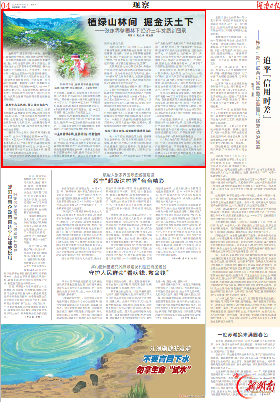 植绿山林间 掘金沃土下——张家界擘画林下经济三年发展新图景@湖南日报