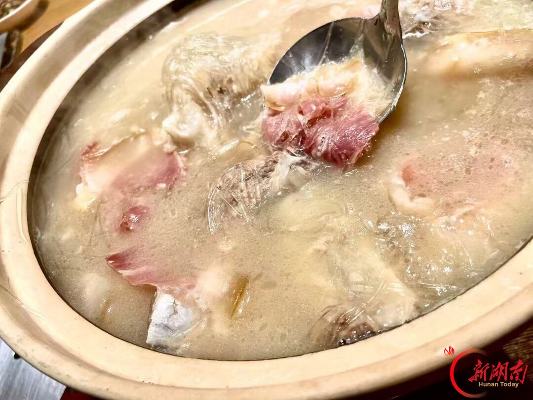 菌子:审美和爱意是不可降级的东西|潇潇聊美食