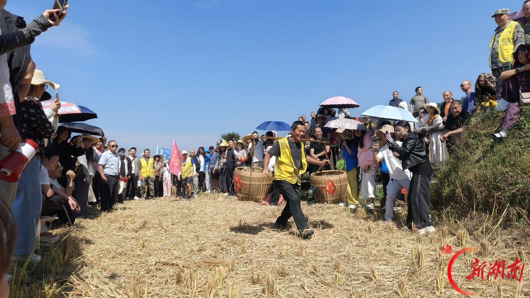 云端梯田庆丰收——溆浦山背梯田农耕文化竞技大赛暨非遗农特集市庆丰收活动举行