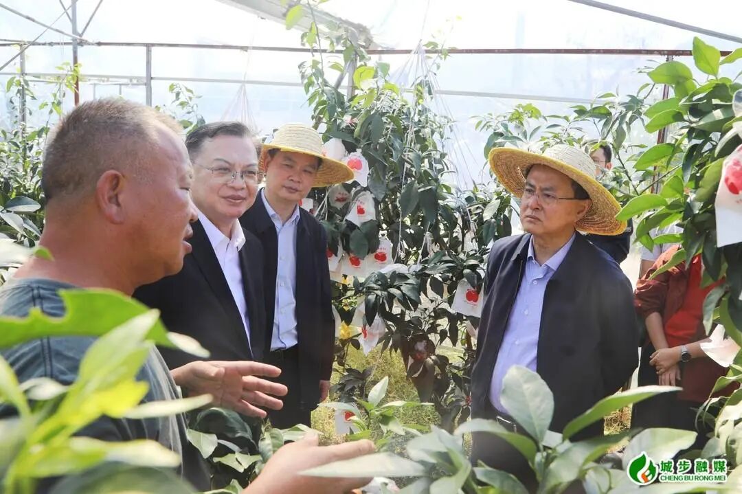 商务部副部长鄢东到城步调研定点帮扶工作