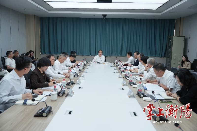 衡阳市第六届“10·10数字经济日”活动举行 朱健 王进出席