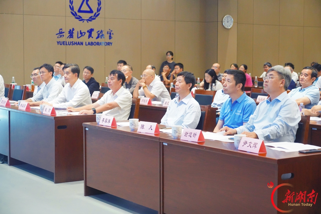 “袁稻思源”杂交水稻智能育种平台上线 将大幅提高育种效率