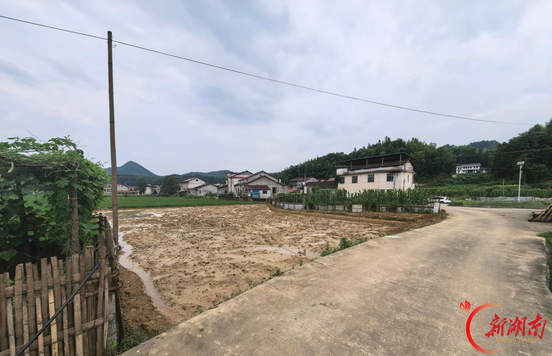桃江县｜51家禁养区养殖场（户）全部完成退养拆除