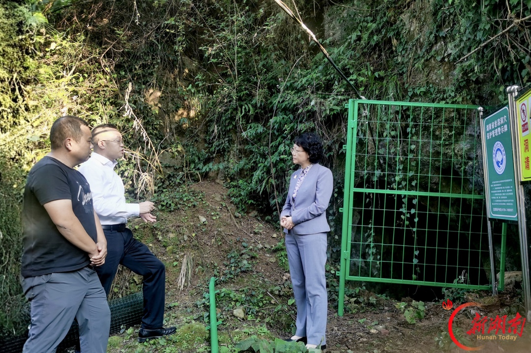 程蓓在城步暗访督导溶洞天坑山谷污染问题排查整治工作