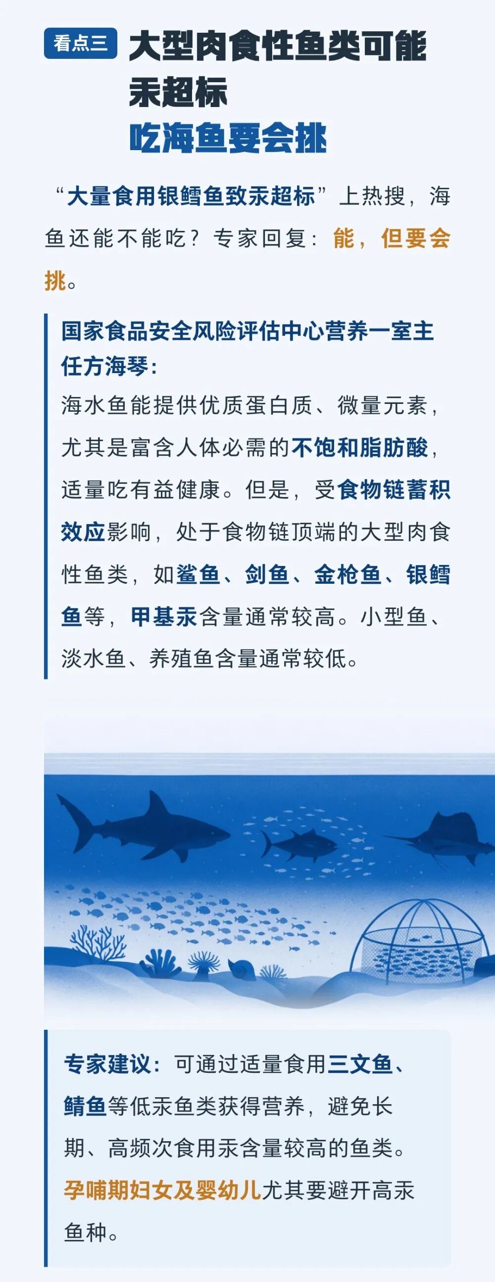 “大量食用银鳕鱼致汞超标”上热搜,海鱼还能不能吃?