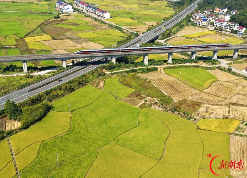 全国铁路启动第四季度列车运行图