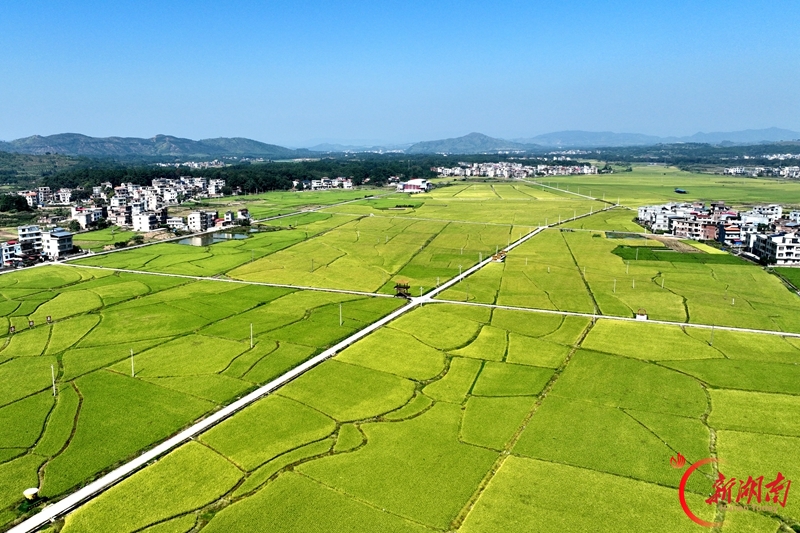 图集 | 秋日乡村 “丰”景正好