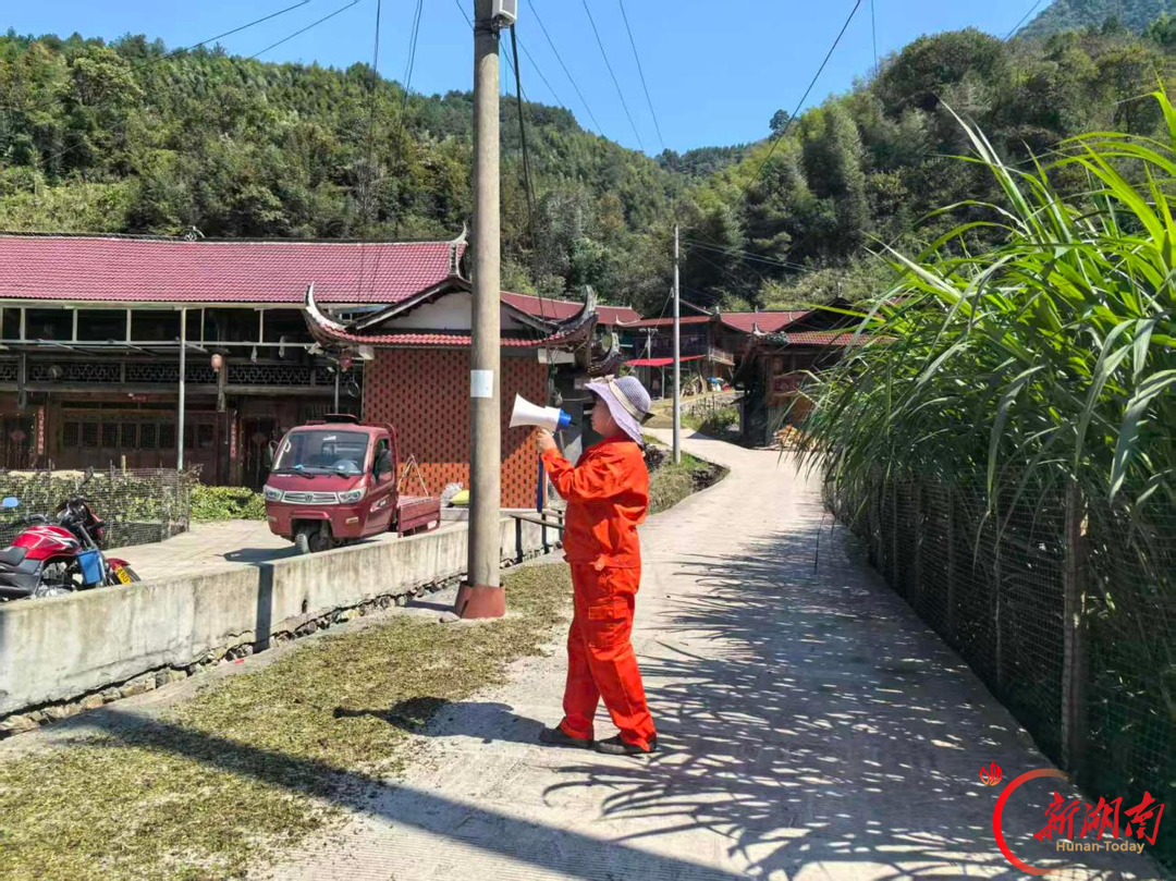 沅陵县杜家坪乡:深耕林长制责任田 统筹山林安全与林下经济