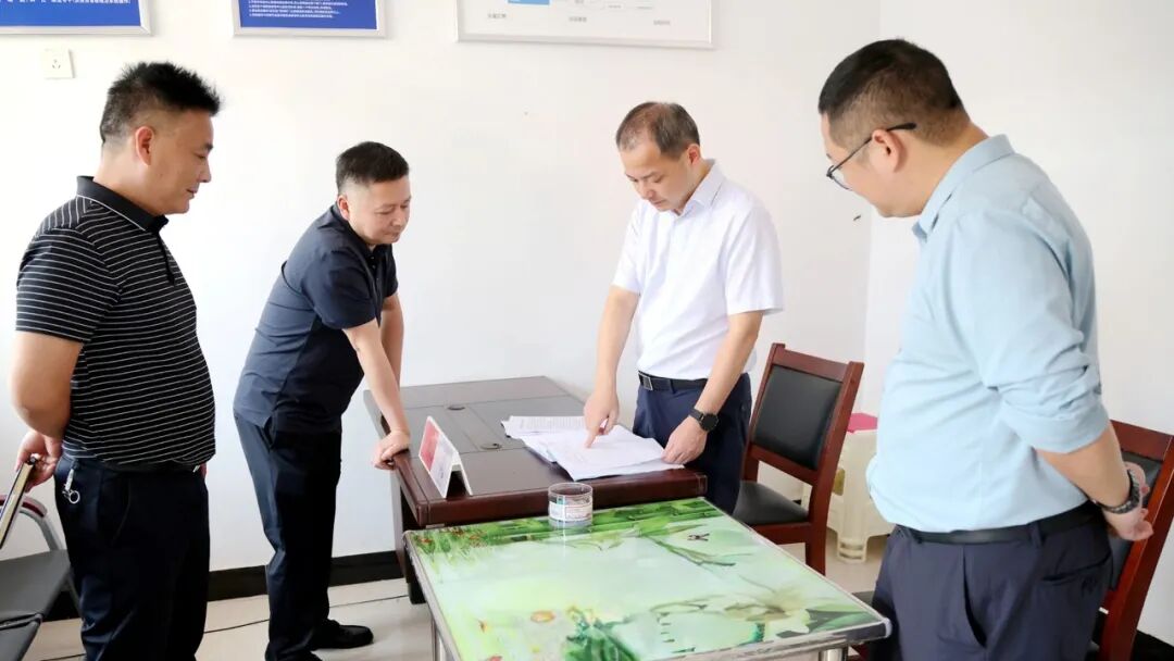 桃源：欧兵波赴龙潭镇调研当前重点工作