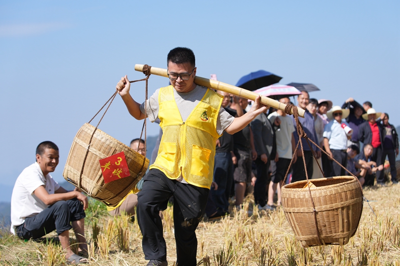 云上梯田庆丰收