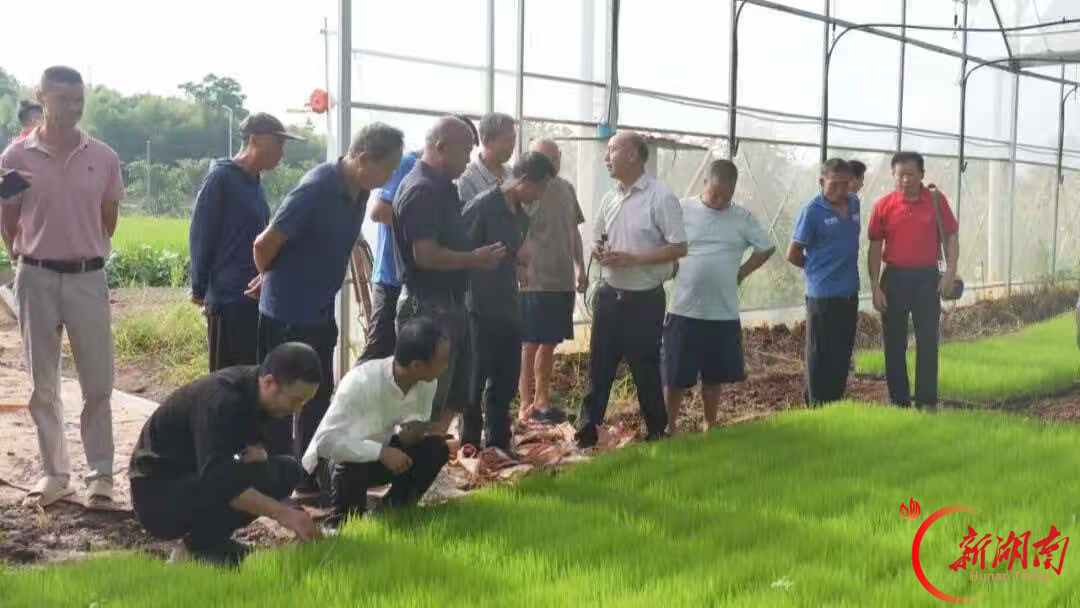 安仁县生平联合社:流动供销“全链条”服务让种田省心又增收