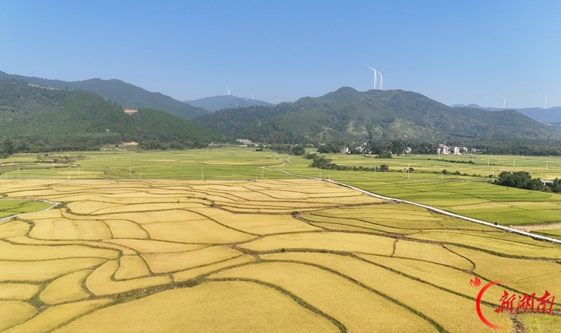图集 | 秋日乡村 “丰”景正好