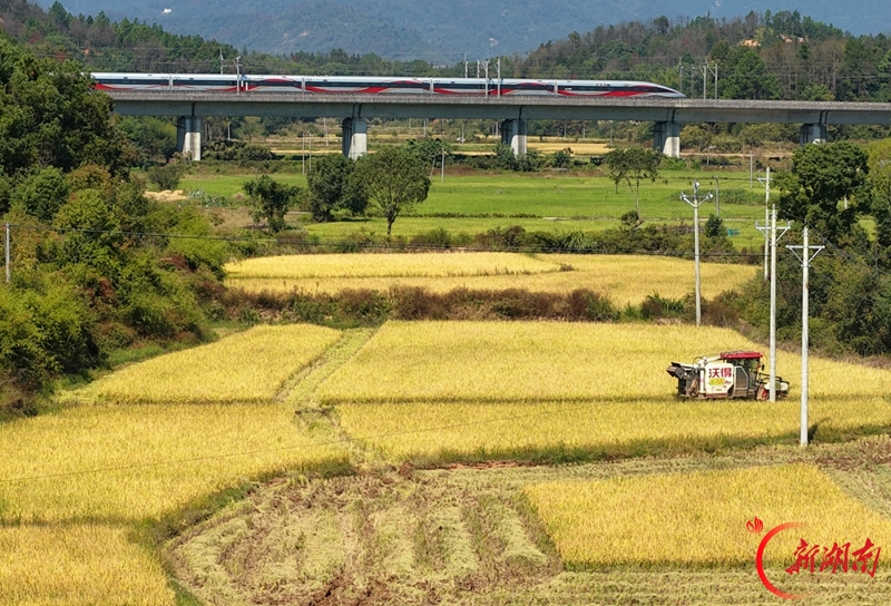 全国铁路启动第四季度列车运行图