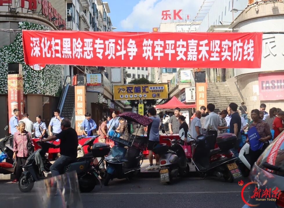 嘉禾法院开展扫黑除恶普法宣传活动