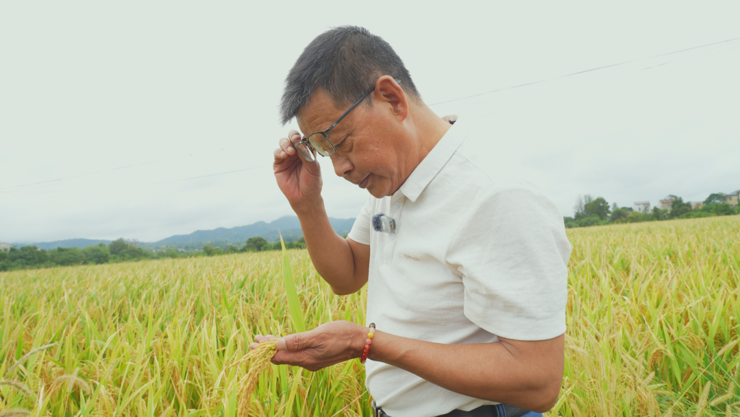 一袋化肥背后的保卫战丨从霍尔木兹海峡危机看中国油气产业链韧性