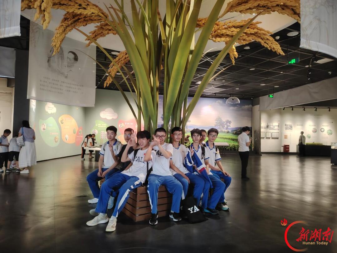 探稻作之源,悟劳动之美——长沙市雅礼中学G2501班走进隆平水稻博物馆