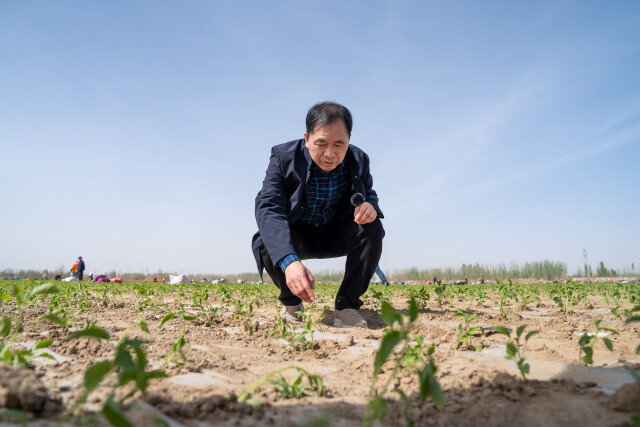 邹学校获评“墨玉县民族团结进步模范个人”
