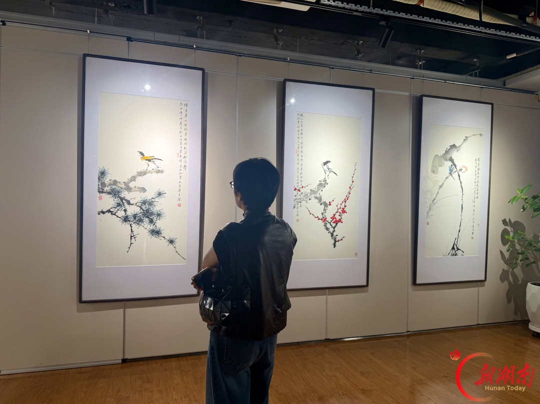 赴一场花鸟之约!“不尽清香淡淡来——曾景祥写意花鸟画展”在湘潭开幕