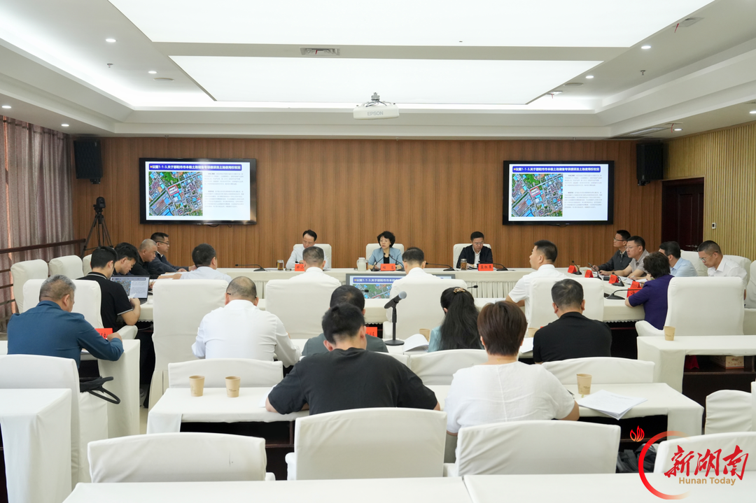邵阳市国土空间规划委员会2026年第四次土地管理专题会议召开