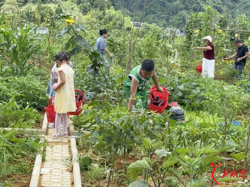 不弃微末,地尽其用——湘西州盘活闲置资产唤醒“沉睡空间”@湖南日报要闻头条