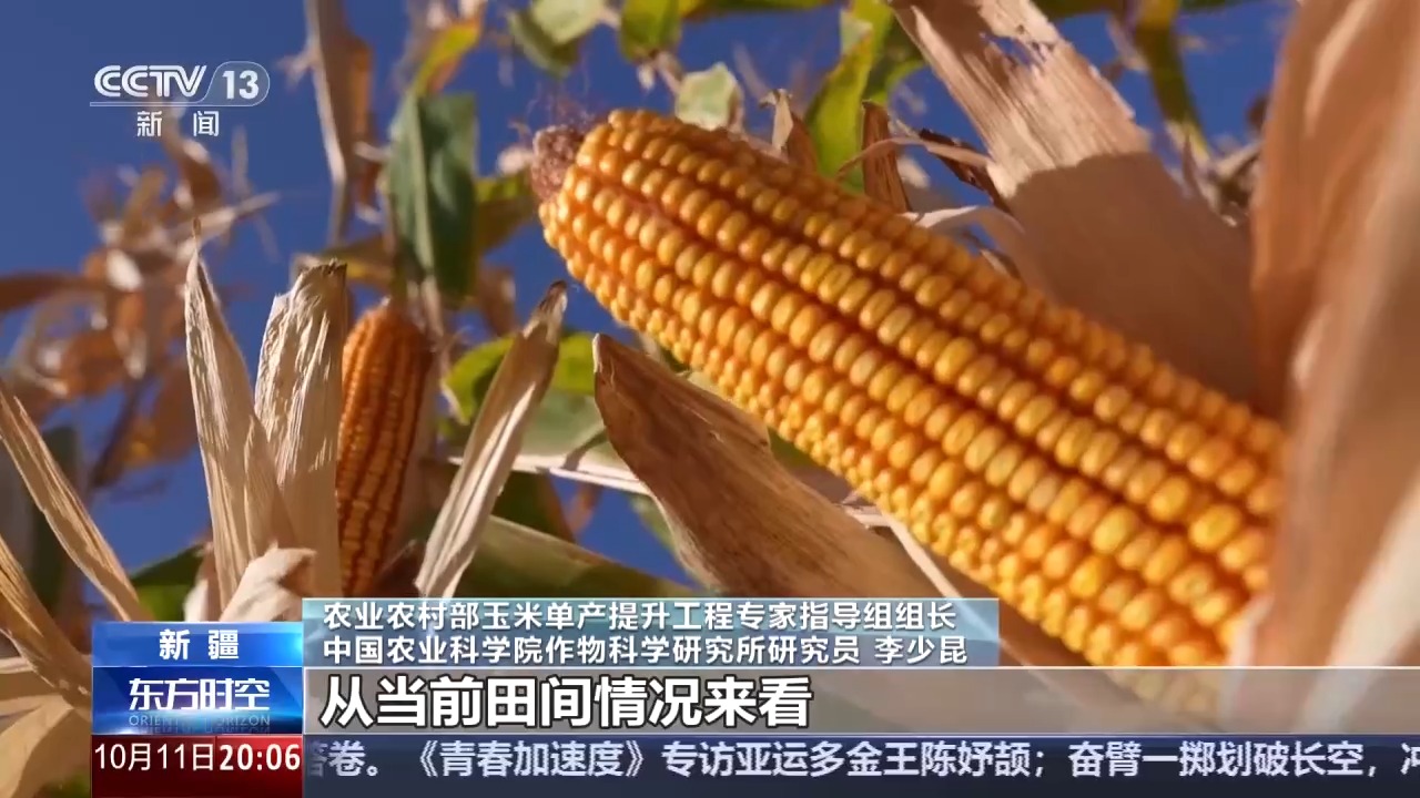 厄尔尼诺扰动全球 我国农业生产将如何应对挑战