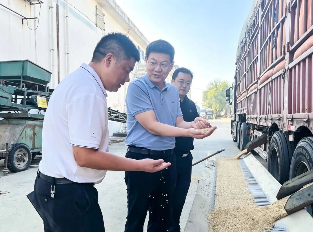 湖南农业集团党委书记、董事长龚小波赴金健米业开展“四不两直”督导检查