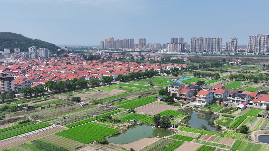 津市襄阳街：秸秆“变废为宝” 禁烧管控“不打烊”