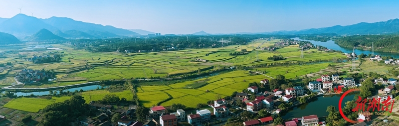 图集 | 秋日乡村 “丰”景正好
