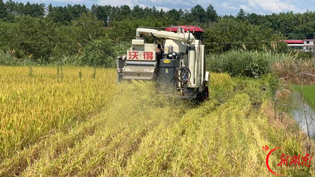 安仁县生平联合社:流动供销“全链条”服务让种田省心又增收