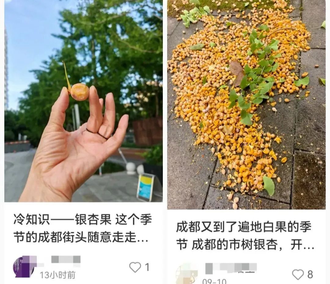 不要吃!不要捡!近期正大量出现