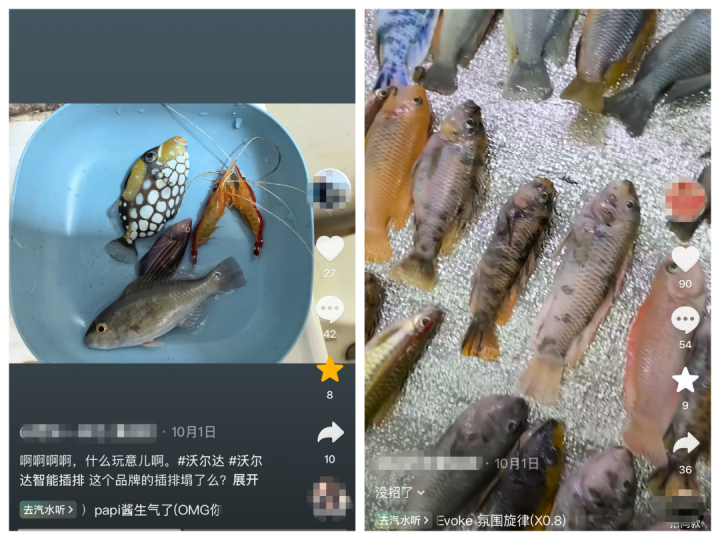 养了这么多年,一觉醒来团灭!全国多地鱼友中招,有人损失上万元,竟是被一块插排“背刺”……商家:系黑客恶意攻击,已紧急封堵漏洞