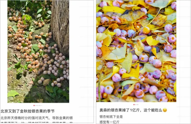 不要吃!不要捡!近期正大量出现