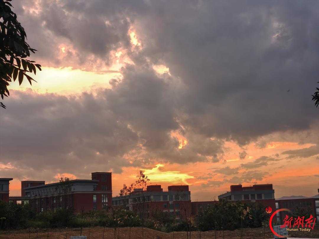 医学生·开学季｜我的学医“新起点”（177）延续中医的力量，奋力向前出发