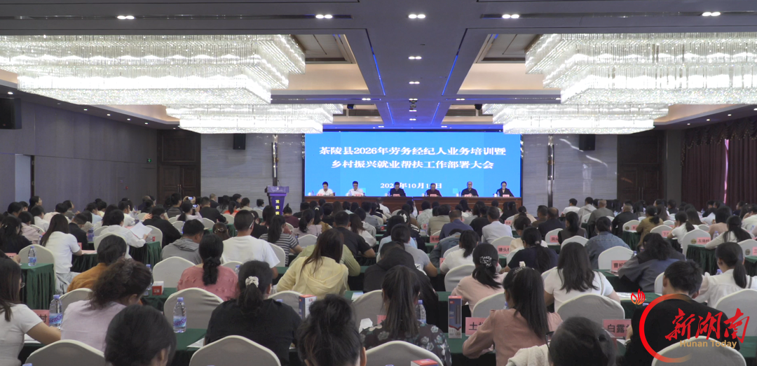 赋能劳务服务 助力乡村振兴!茶陵县260名劳务经纪人接受集中专业培训