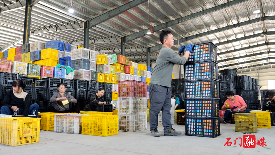 “点石成金”!石门盘活沉睡闲置资源,蹚出增收新路