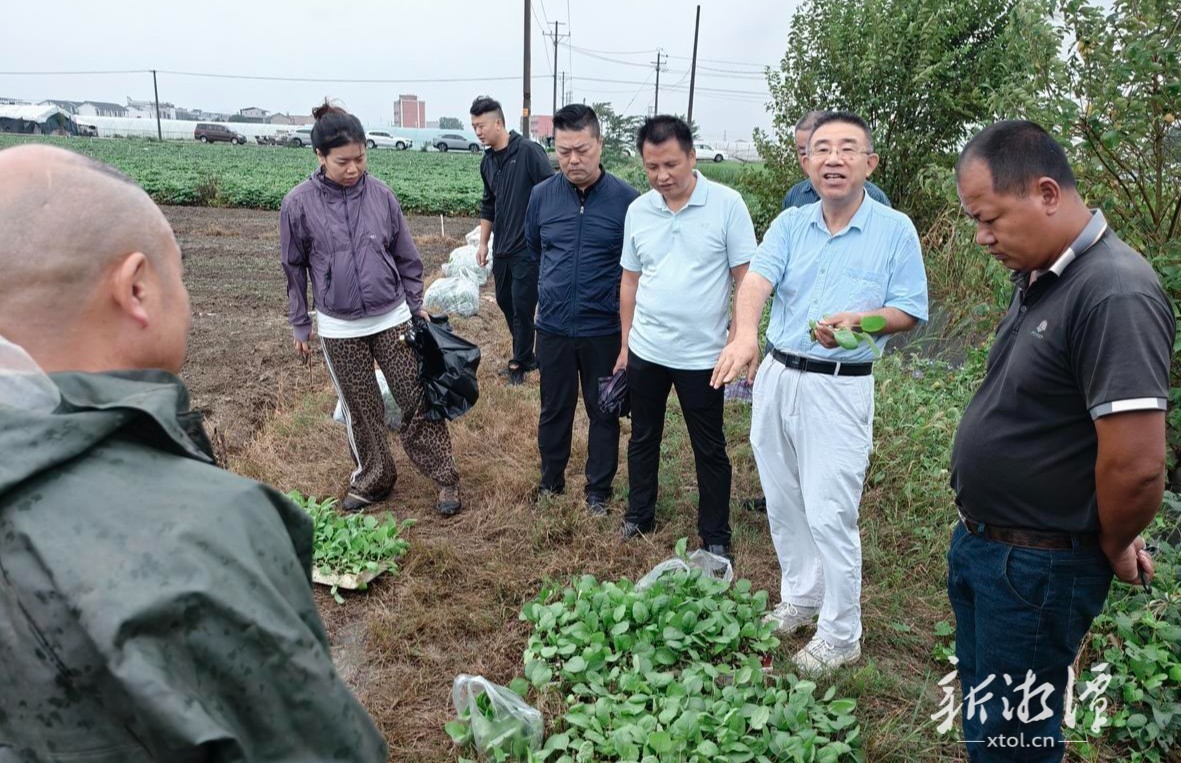 乡村兴业“握指成拳”奏凯歌——湘潭市持续巩固提升长效机制助推乡村特色产业发展