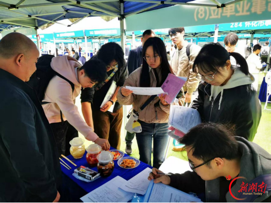 引才精准“画像” 用人唯才是举 洪江市着力破解县域人才“引用留”难题
