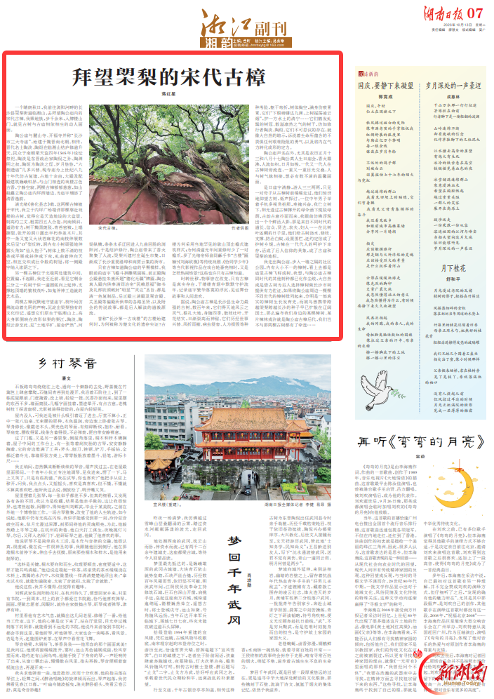 拜望㮾梨的宋代古樟丨湘江副刊·湘韵