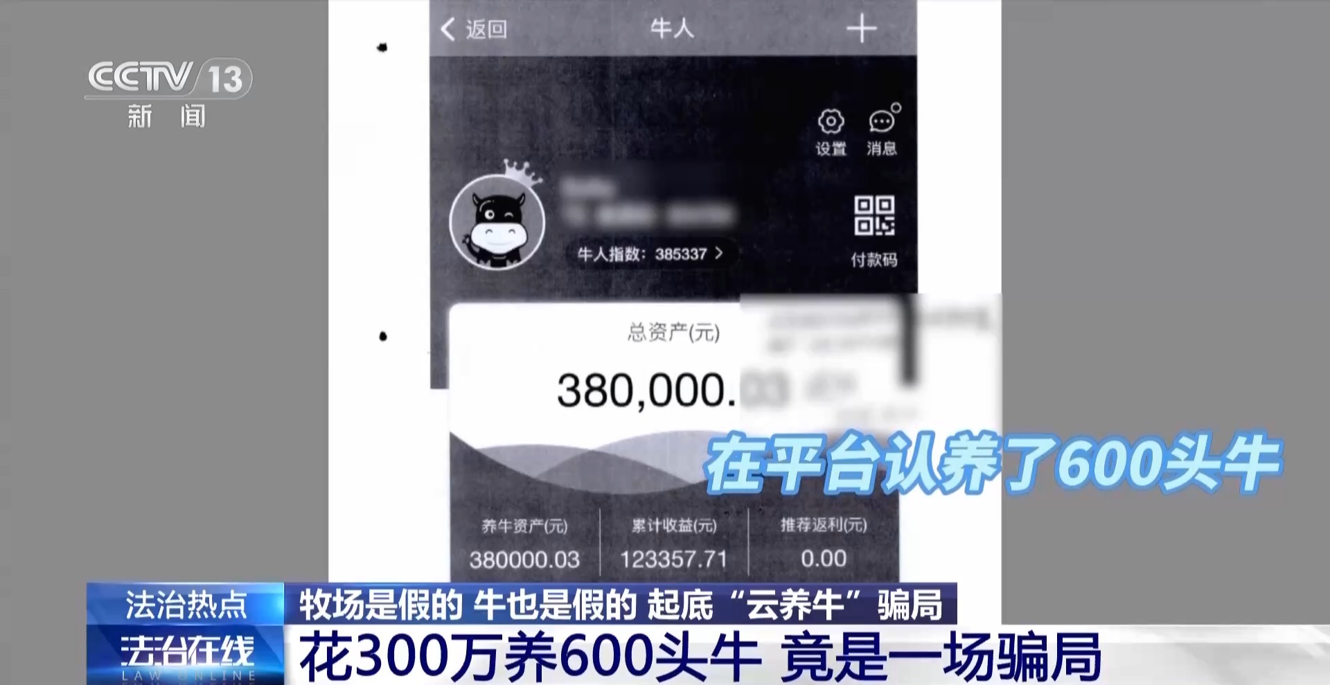 法治在线丨12万人被骗5.6亿 起底“云养牛”骗局