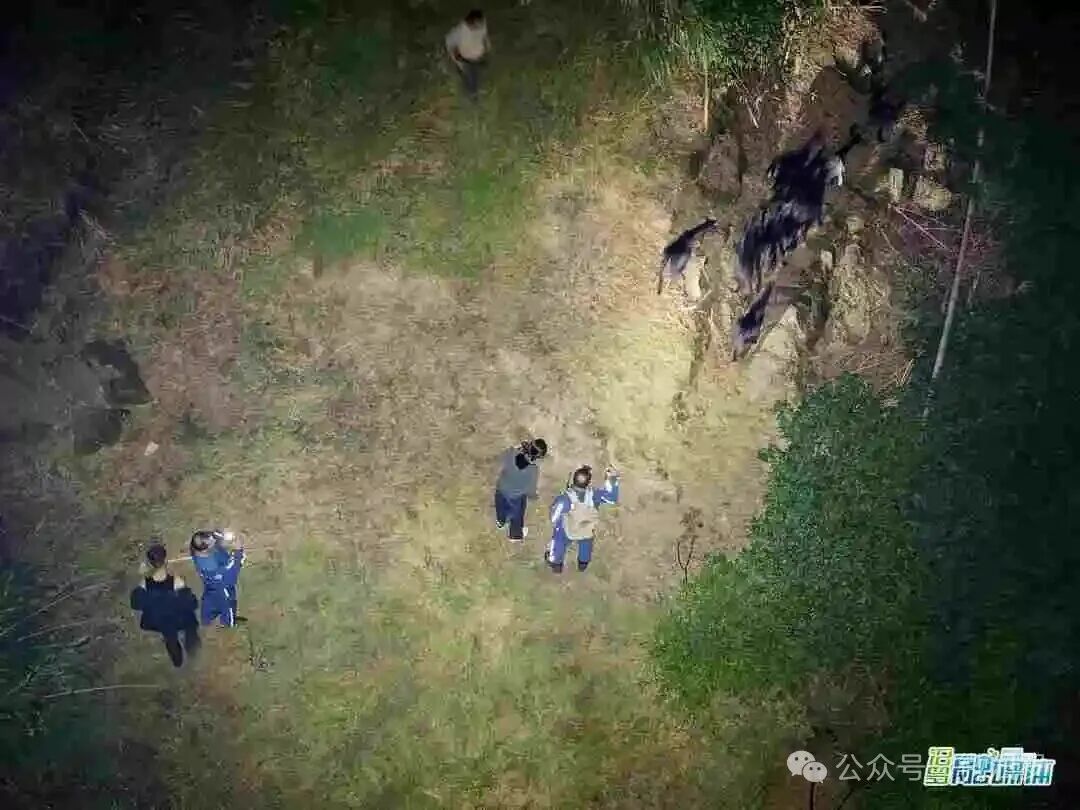 老人寝食难安,15只羊去哪了?汨罗这场搜寻,科技感拉满