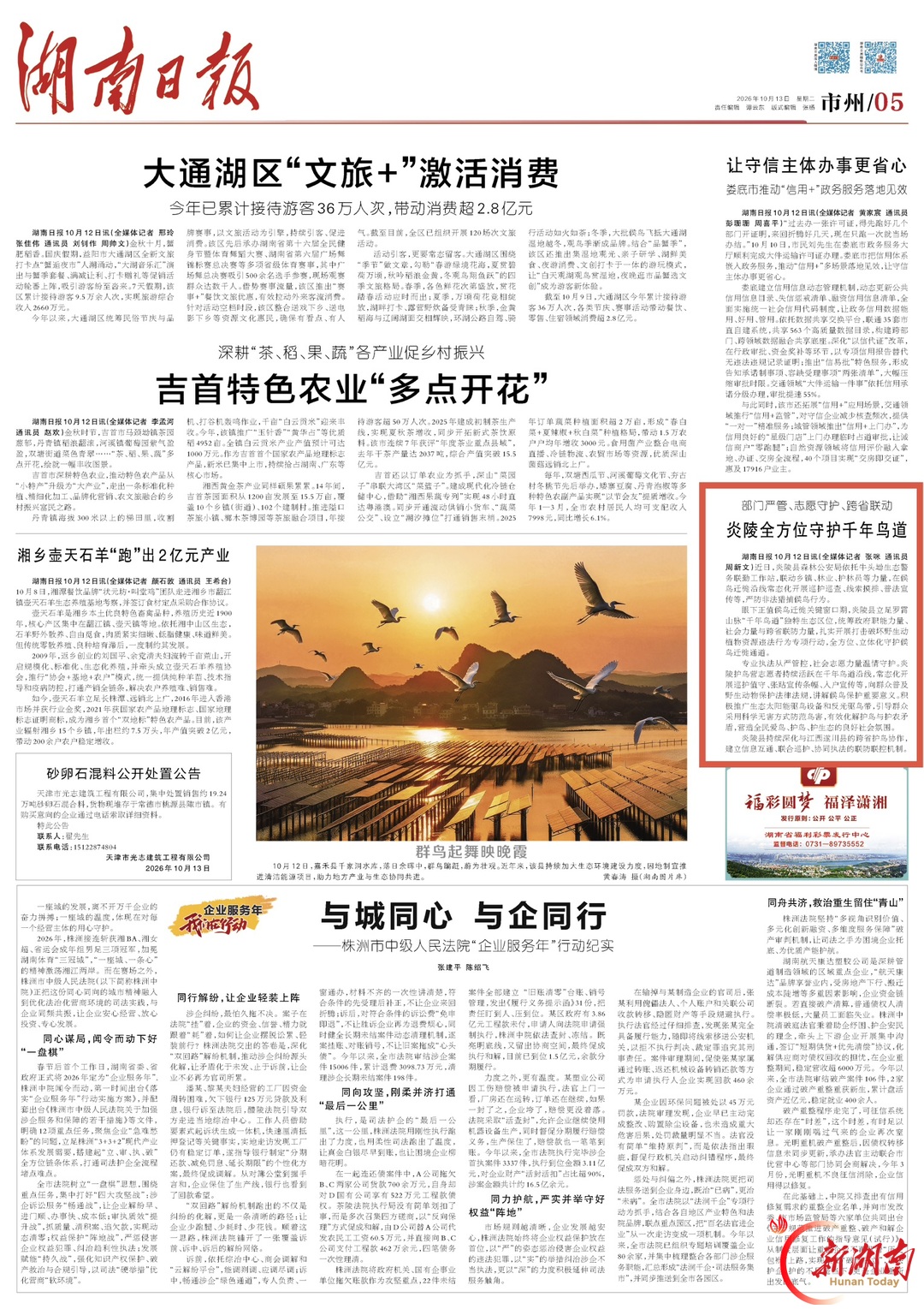 湖南日报｜部门严管、志愿守护、跨省联动 炎陵全方位守护千年鸟道