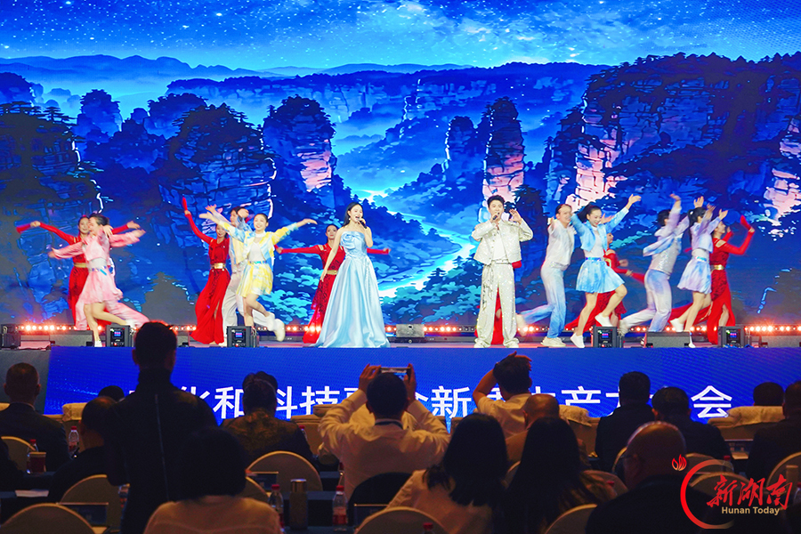 “新艺中国·数艺无界”大会在长沙举行