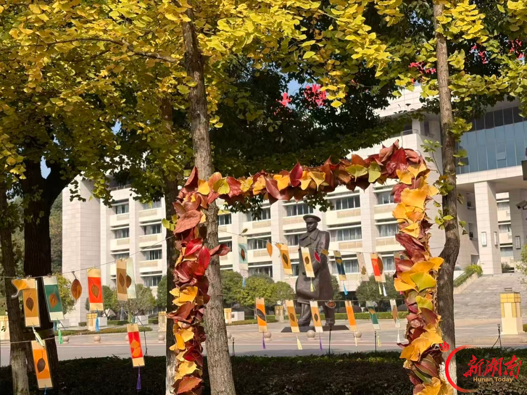 风携秋至！请查收湖南高校的秋日来信